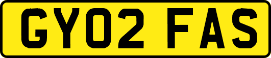 GY02FAS