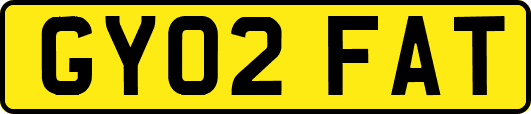 GY02FAT