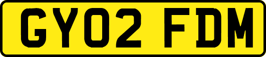 GY02FDM