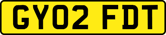 GY02FDT