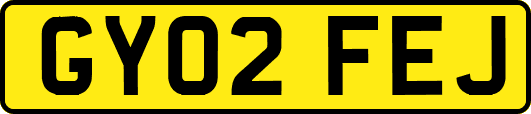 GY02FEJ