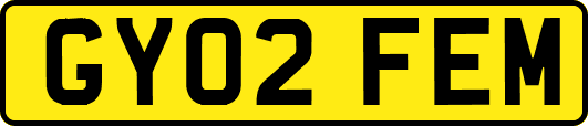 GY02FEM