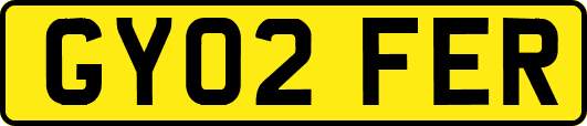 GY02FER