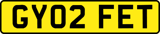 GY02FET