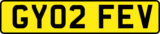 GY02FEV
