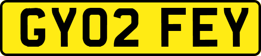 GY02FEY
