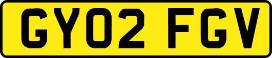 GY02FGV
