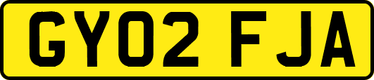 GY02FJA