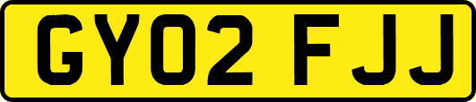 GY02FJJ