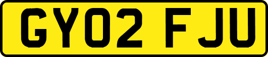 GY02FJU