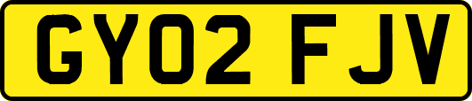 GY02FJV