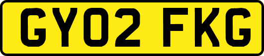 GY02FKG