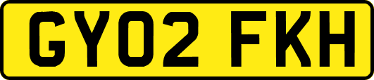 GY02FKH