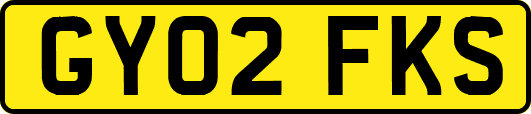 GY02FKS