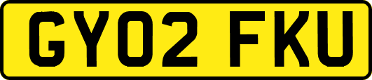 GY02FKU