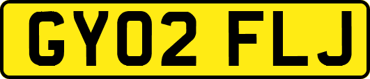 GY02FLJ