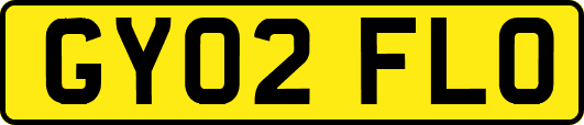 GY02FLO