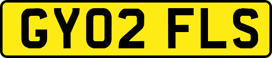 GY02FLS