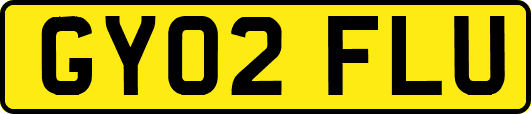 GY02FLU
