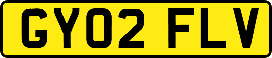 GY02FLV