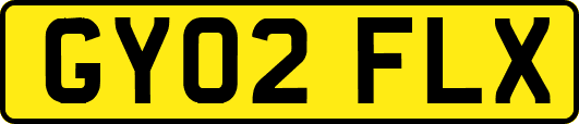 GY02FLX