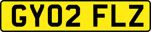GY02FLZ
