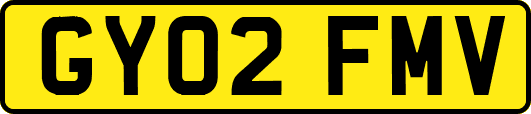 GY02FMV