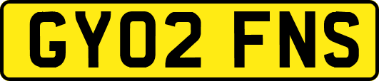GY02FNS