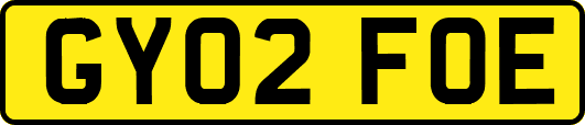GY02FOE