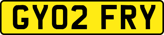 GY02FRY