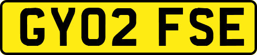 GY02FSE
