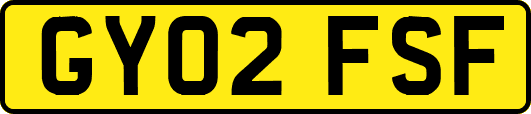 GY02FSF