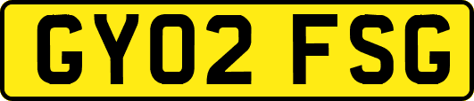 GY02FSG