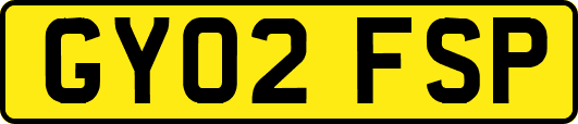 GY02FSP