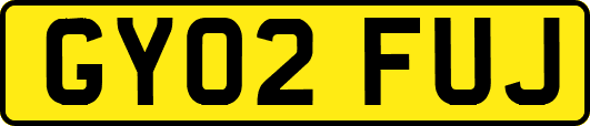 GY02FUJ