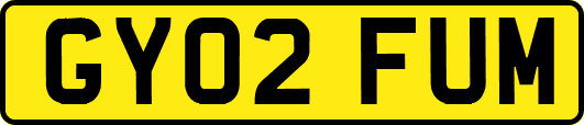 GY02FUM