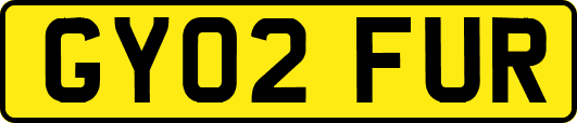 GY02FUR