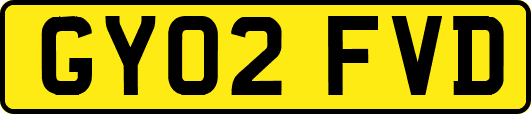 GY02FVD