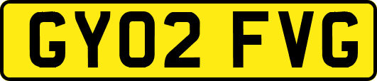 GY02FVG
