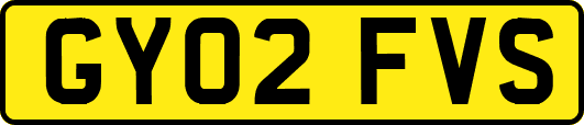 GY02FVS