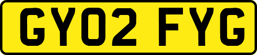 GY02FYG