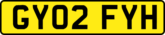 GY02FYH