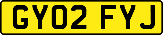 GY02FYJ