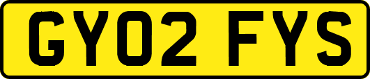 GY02FYS