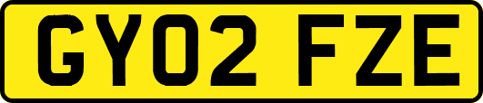 GY02FZE