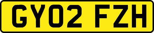 GY02FZH