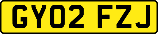 GY02FZJ