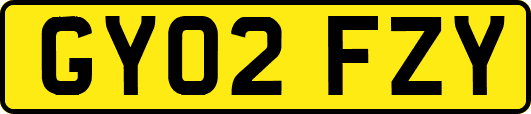 GY02FZY