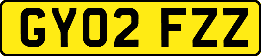 GY02FZZ