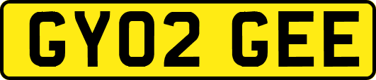 GY02GEE
